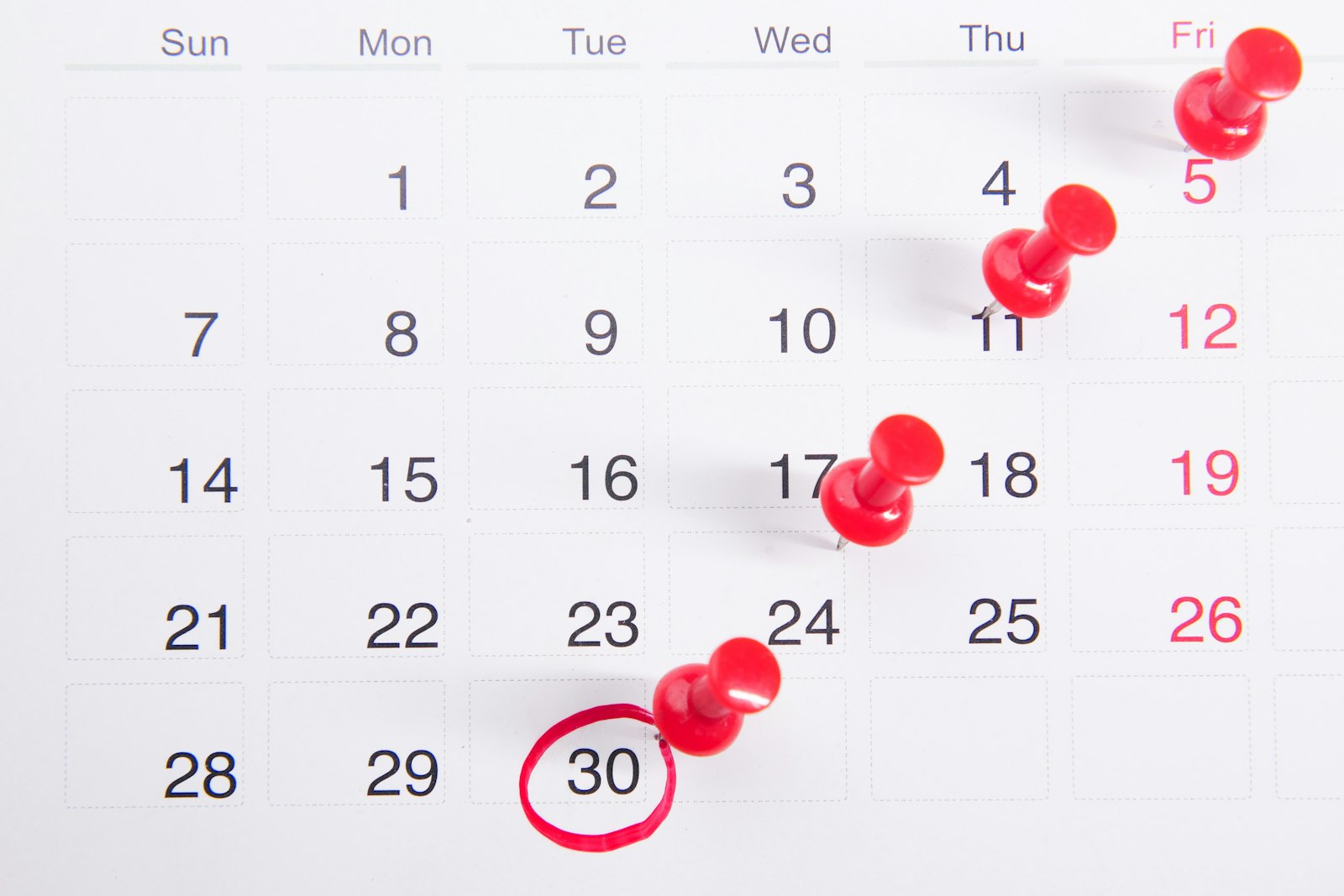 How Our Team Plans a Publishing Week